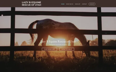 Lazy B Equine Rescue website home page